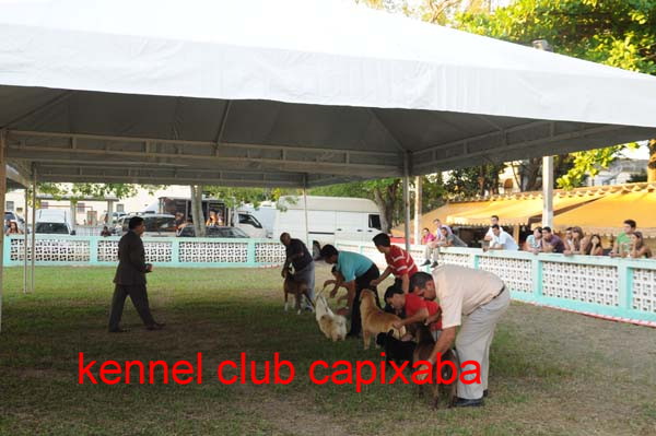 Clique sobre a foto para fechar